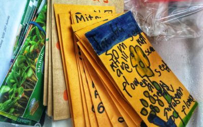 The Haberfield Street Seed Library